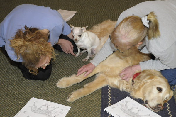 Two woman sitting near to dog discussing acupressure techniques